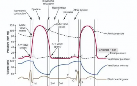 每日一题_2022.08.14
