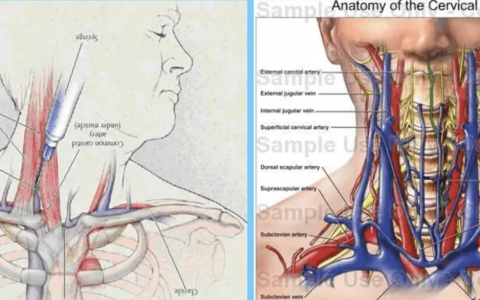 每日一题_2022.08.17
