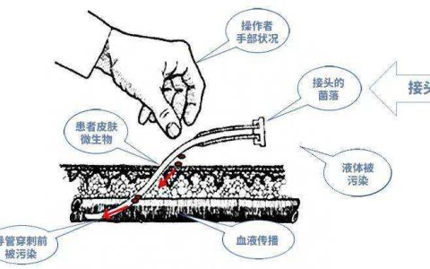 每日一题_2022.08.10