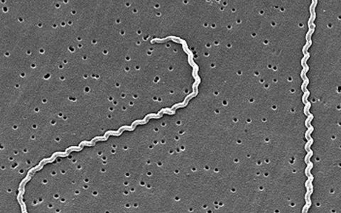 每日一题_2022.08.01