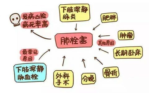 每日一题_2022.08.05