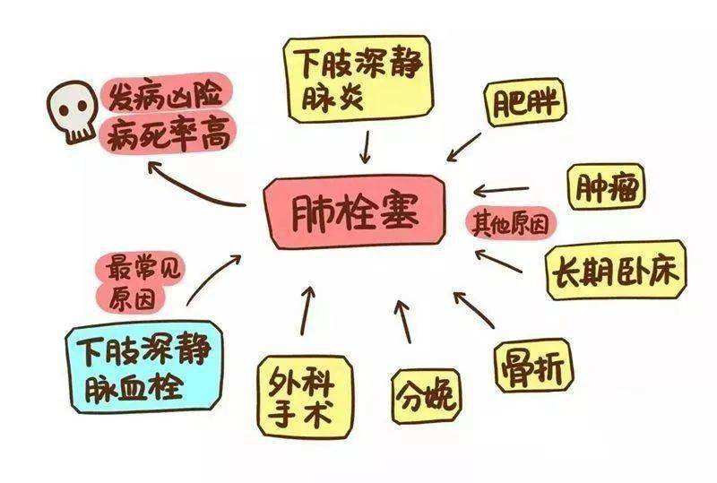 每日一题_2022.08.05