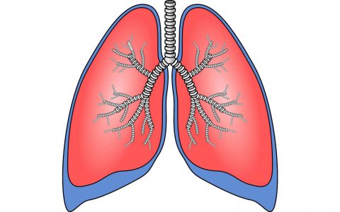 每日一题_2022.08.04