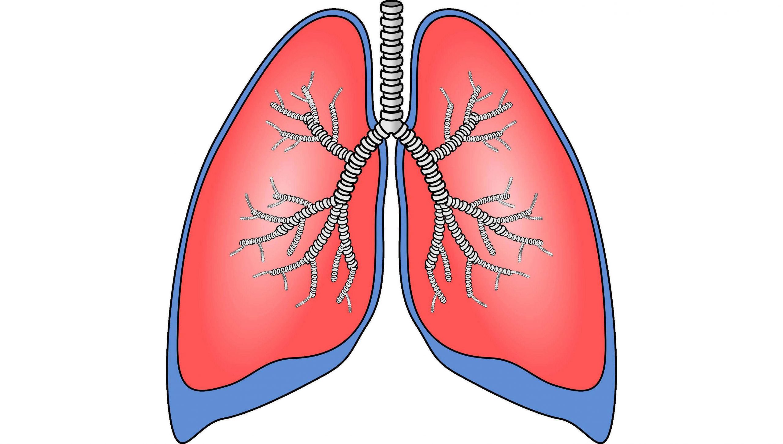 每日一题_2022.08.04