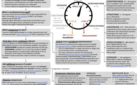 ICU OnePager：血管活性药物