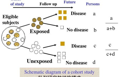 每日一题_2022.08.11