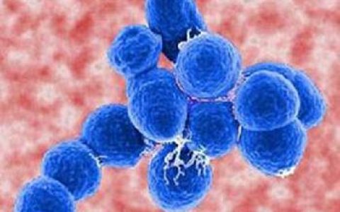 每日一题_2022.08.20