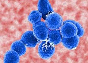 每日一题_2022.08.20