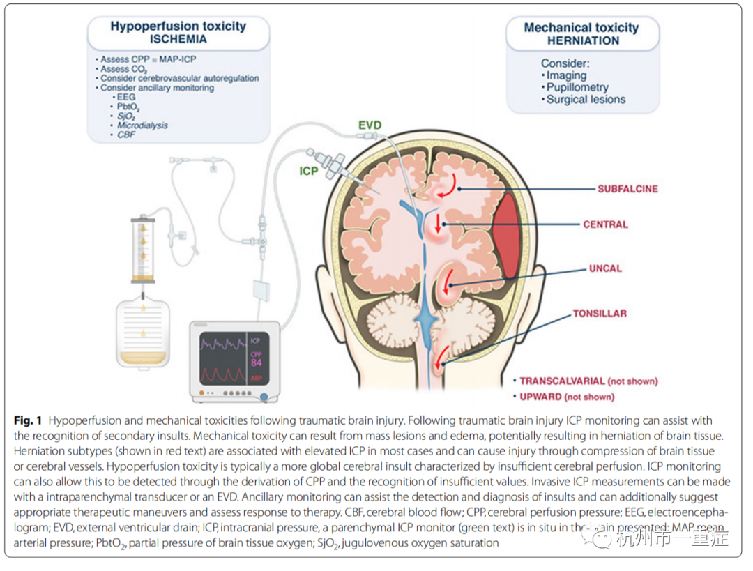每日一题_2022.08.08