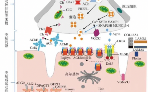 每日一题_2022.09.13