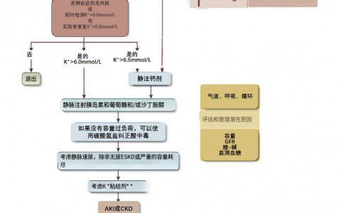 高钾血症处理流程