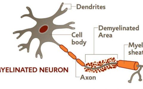 每日一题_2022.09.24