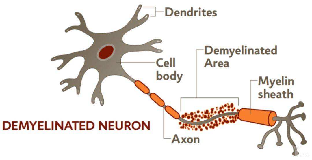 每日一题_2022.09.24