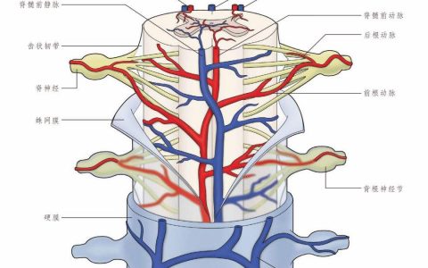 每日一题_2022.09.08