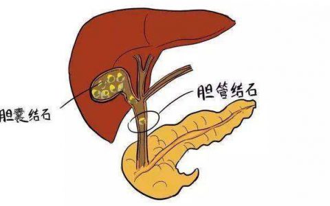 每日一题_2022.09.03