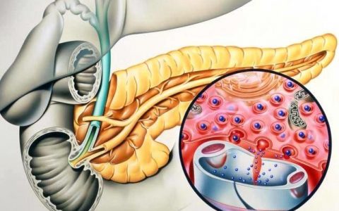 每日一题_2022.09.18