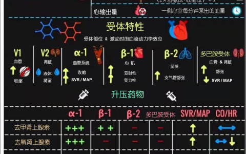 血管活性药物随身指南