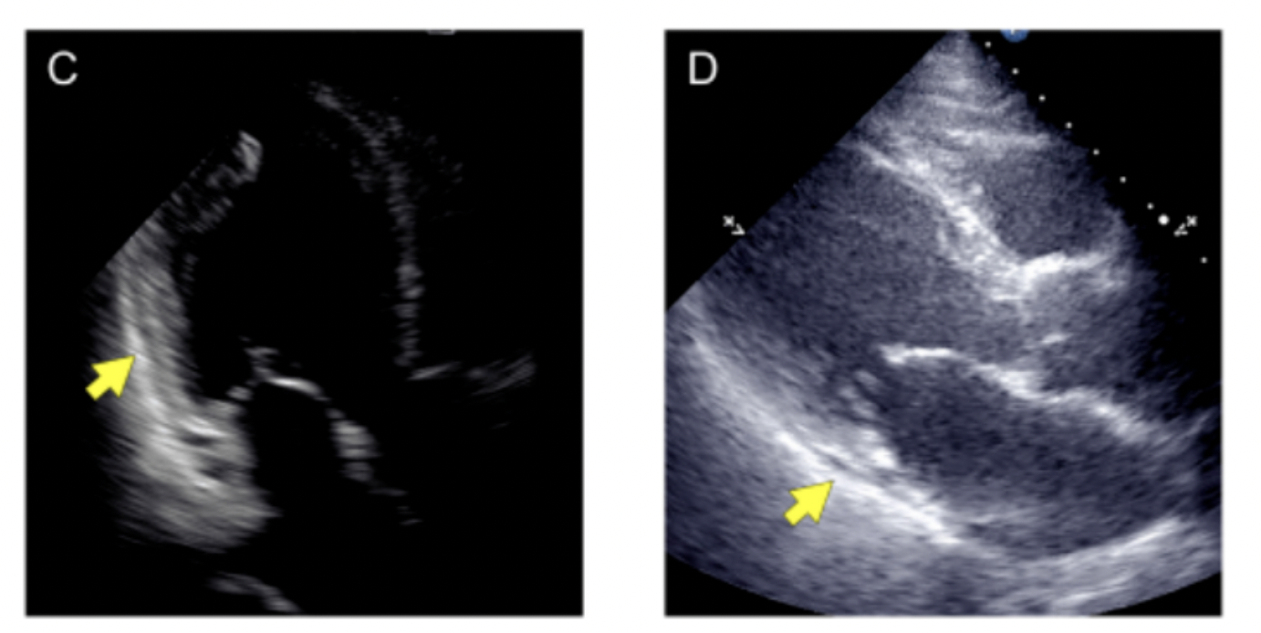 每日一题_2022.10.11
