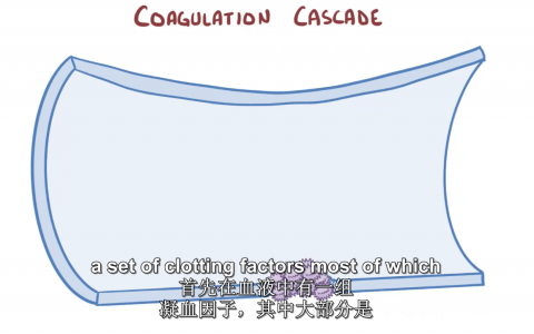 【Osmosis】肺栓塞