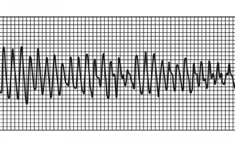 每日一题_2022.10.16