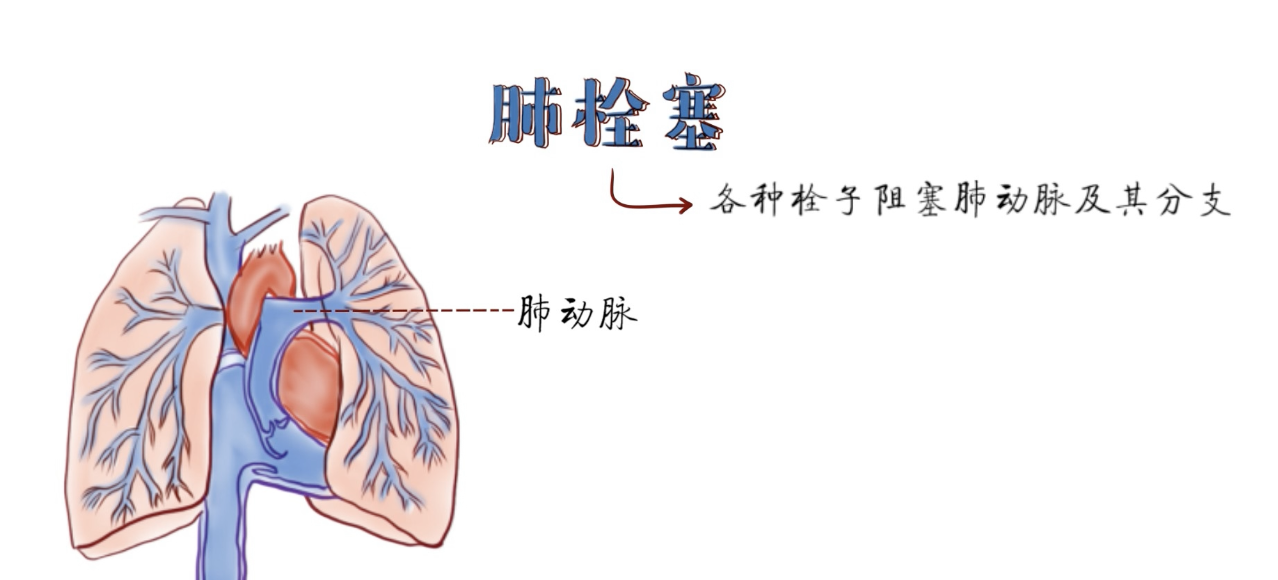 每日一题_2022.10.15