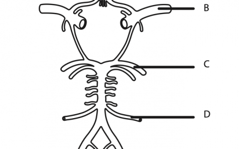 每日一题_2022.10.23