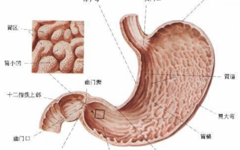 每日一题_2022.10.24