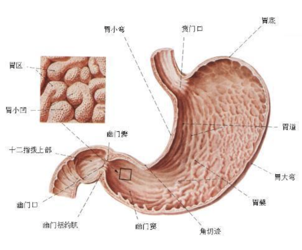每日一题_2022.10.24