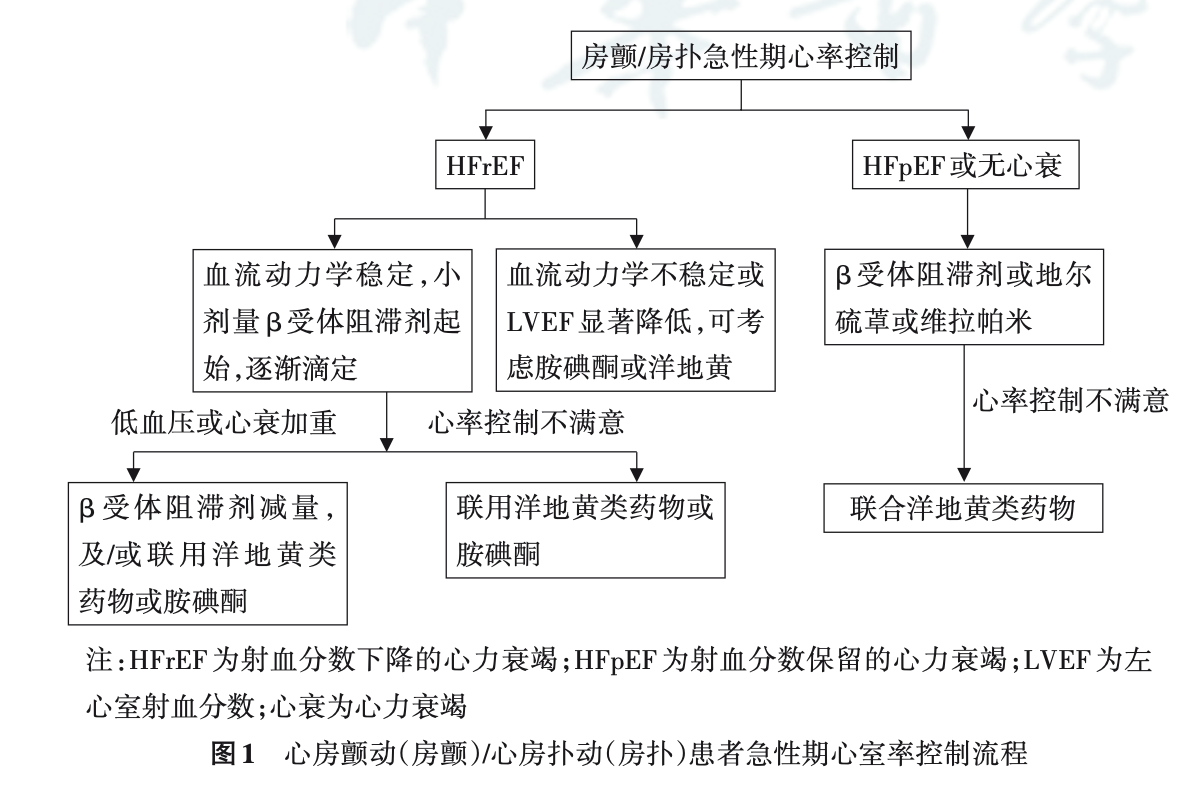 艾司洛尔注射液抗心律失常中国专家建议