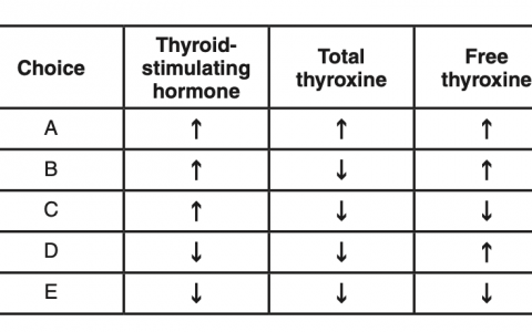每日一题_2022.10.28