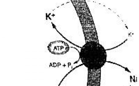 每日一题_2022.10.13