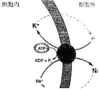 每日一题_2022.10.13