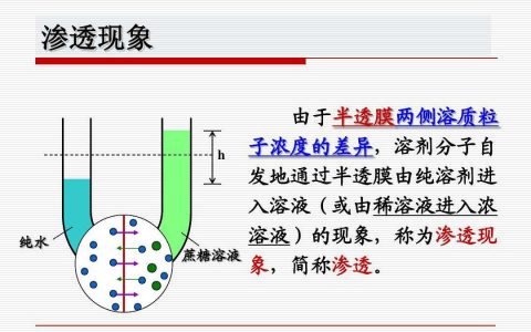 每日一题_2022.10.17