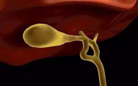 每日一题_2022.10.22