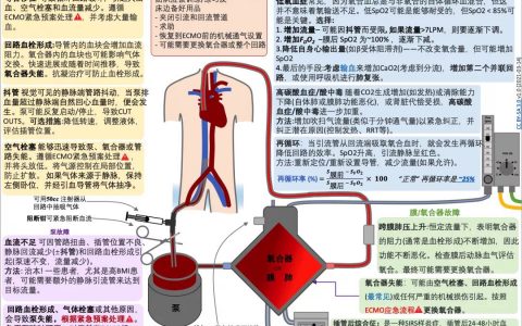 ECMO故障排查