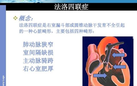 每日一题_2022.10.12