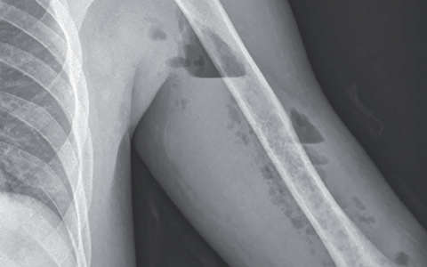 每日一题_2022.10.21