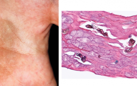 每日一题_2022.10.14