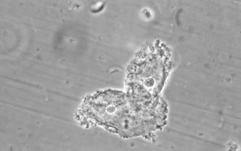 每日一题_2022.11.02