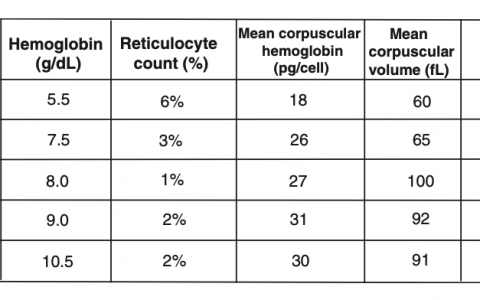 每日一题_2022.11.11