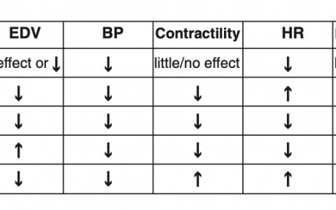 每日一题_2022.11.08