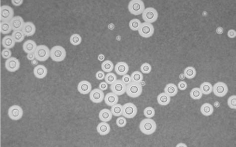 每日一题_2022.11.21