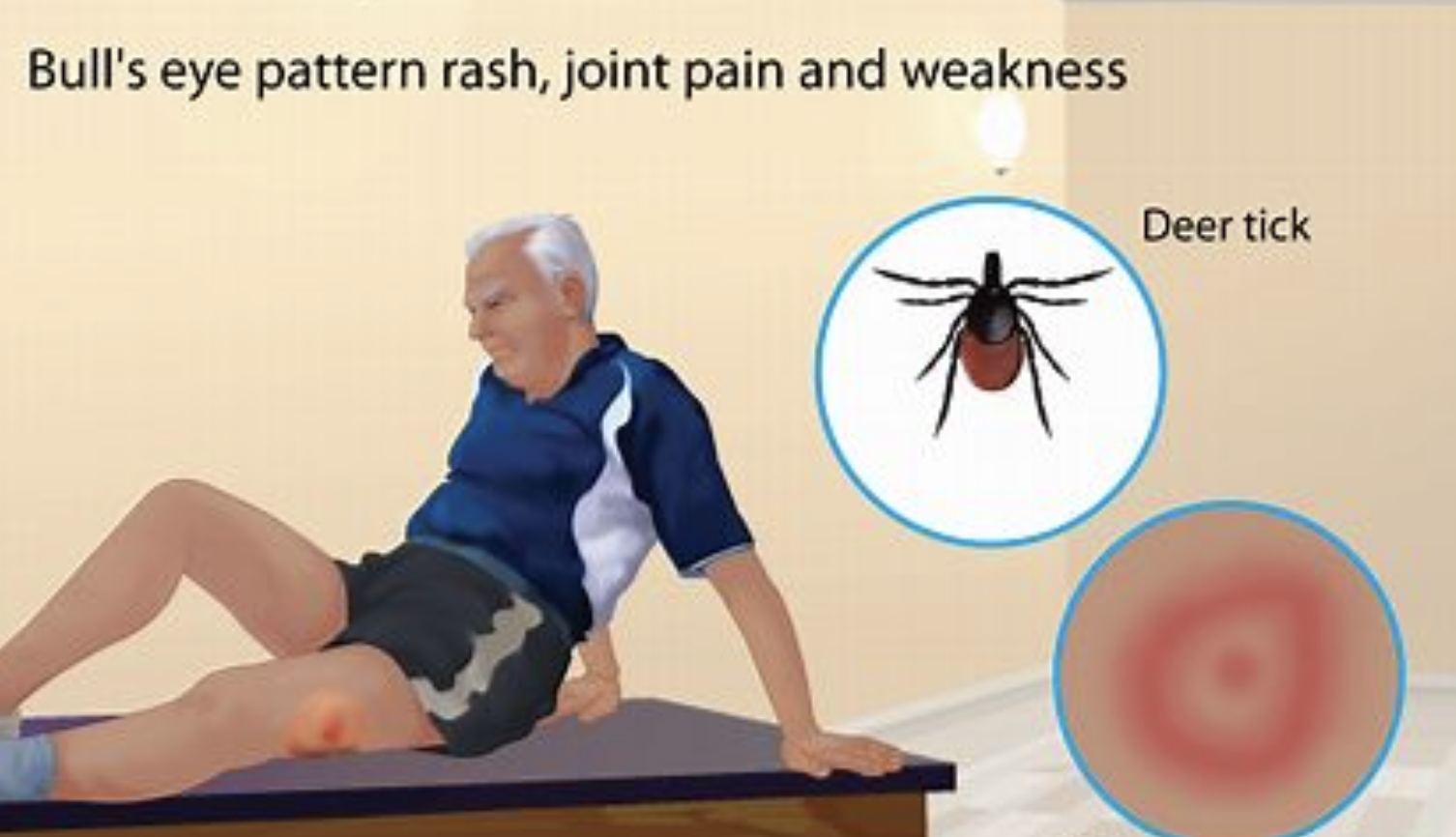 每日一题_2022.11.30