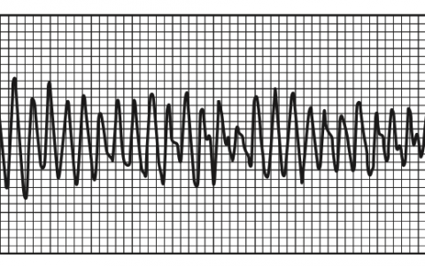 每日一题_2022.11.28