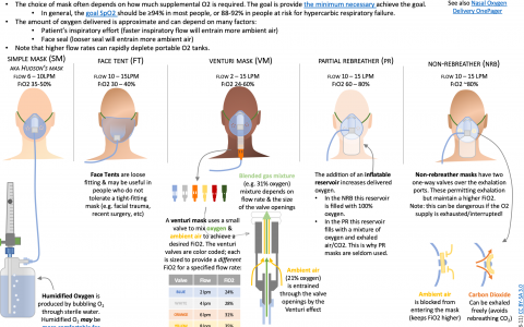 ICU OnePager：面罩给氧