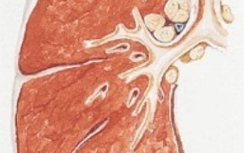 每日一题_2022.11.27