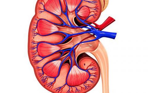 每日一题_2022.11.20