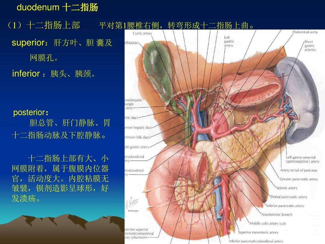 每日一题_2022.11.29