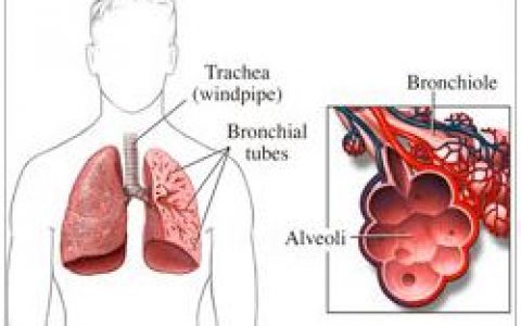 每日一题_2022.11.13
