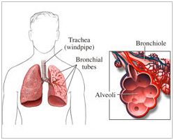 每日一题_2022.11.13